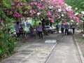 DSCF4974