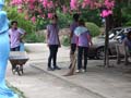 DSCF4982