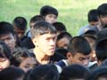 DSCF6536