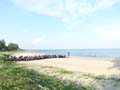 DSCF6605