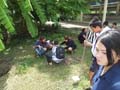 DSCF4043